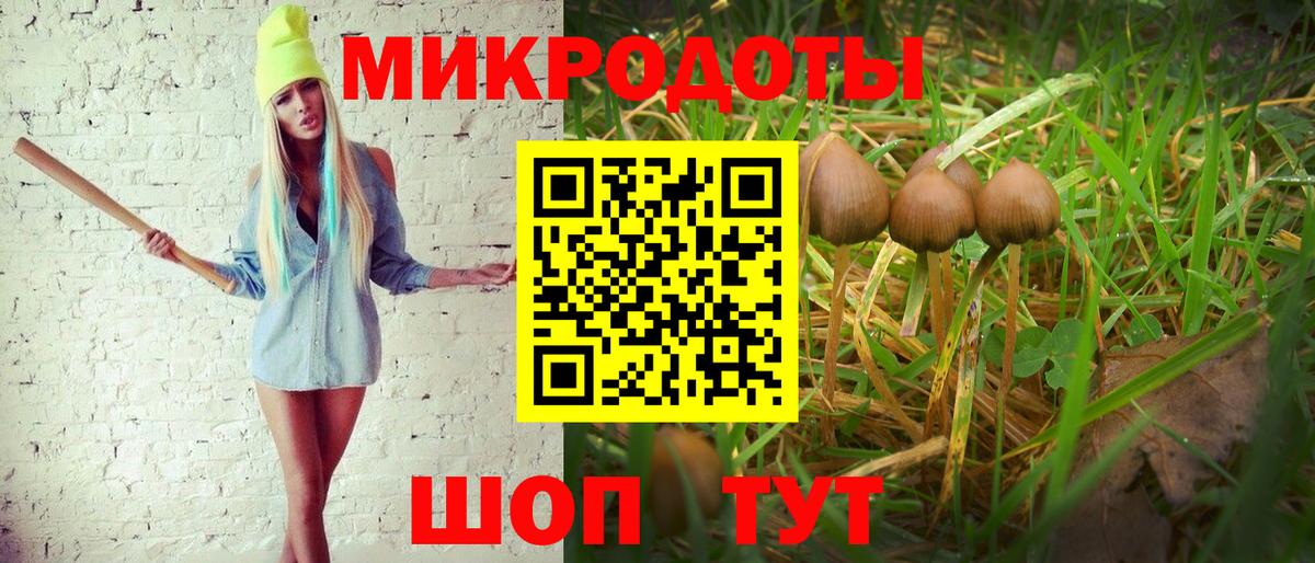 Муравленко  Галлюциногенные грибы ЛСД  Вход с VPN 