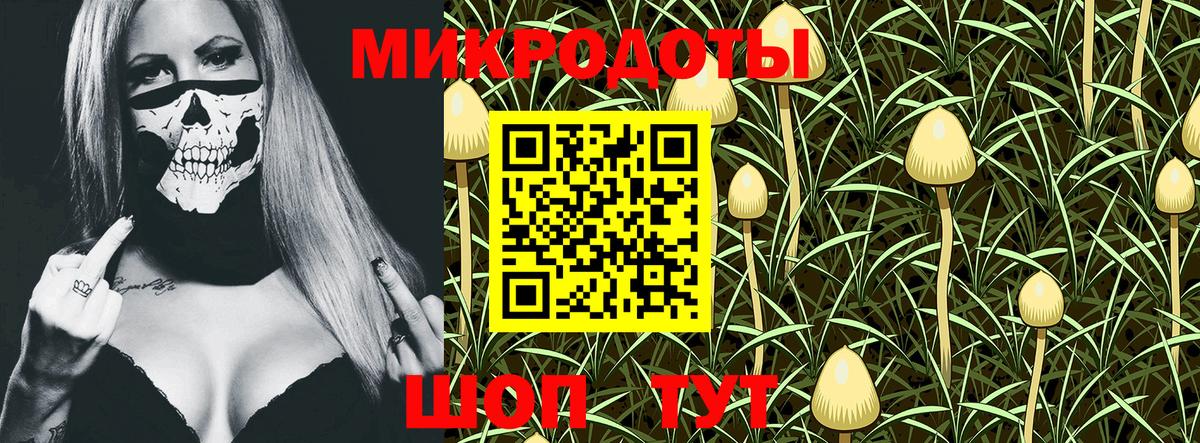 Псилоцибиновые грибы GOLDEN TEACHER Муравленко